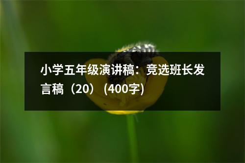 小學(xué)五年級演講稿：競選班長發(fā)言稿（20） (400字)