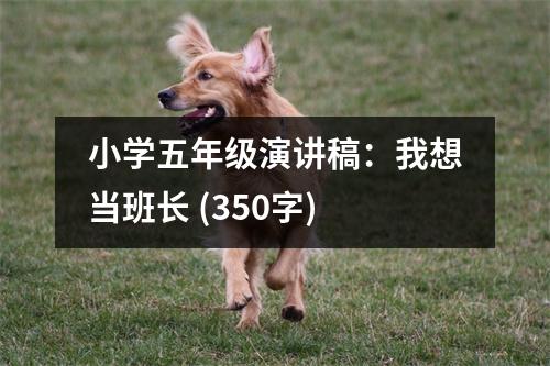 小學五年級演講稿：我想當班長 (350字)