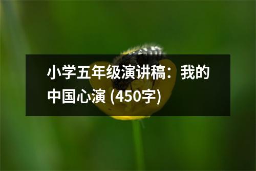 小學(xué)五年級(jí)演講稿：我的中國(guó)心演 (450字)