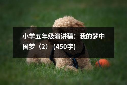 小學五年級演講稿：我的夢中國夢（2） (450字)