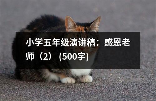 小學五年級演講稿：感恩老師（2） (500字)