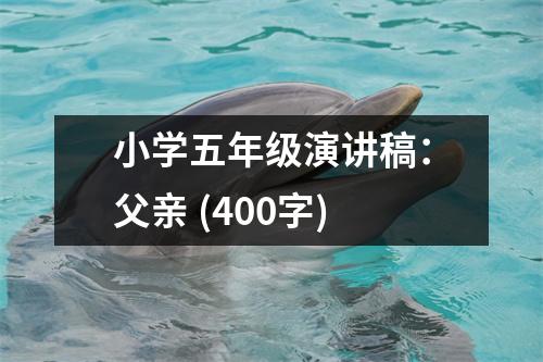小學(xué)五年級演講稿：父親 (400字)