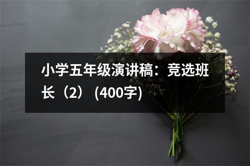 小學(xué)五年級演講稿：競選班長（2） (400字)
