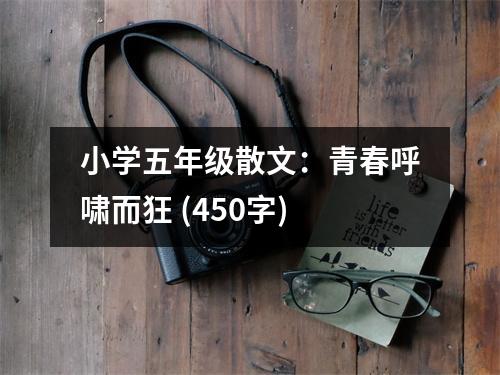 小學(xué)五年級散文：青春呼嘯而狂 (450字)