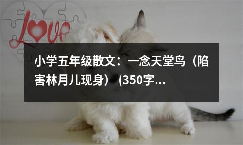 小學(xué)五年級(jí)散文：一念天堂鳥（陷害林月兒現(xiàn)身） (350字)