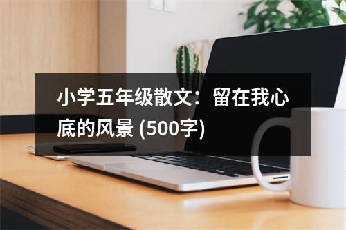小學(xué)五年級(jí)散文：留在我心底的風(fēng)景 (500字)