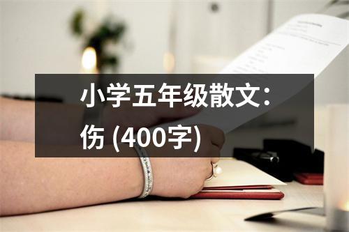 小學(xué)五年級散文：傷 (400字)