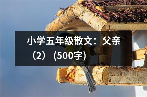 小學(xué)五年級散文：父親（2） (500字)