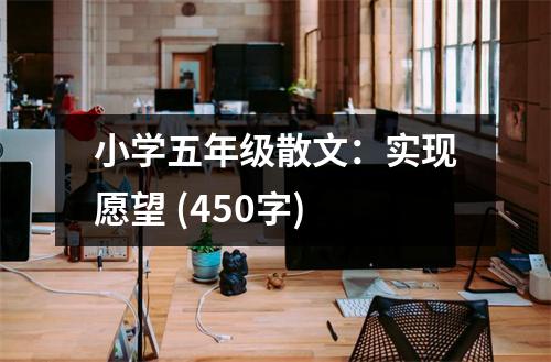 小學(xué)五年級散文：實現(xiàn)愿望 (450字)