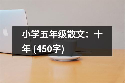 小學(xué)五年級散文：十年 (450字)