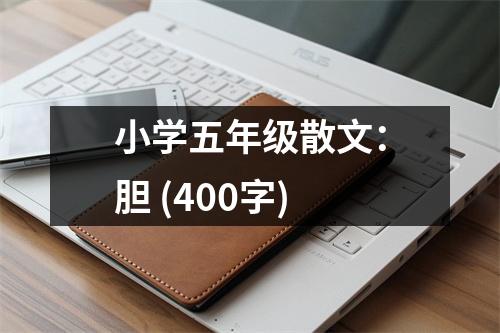 小學(xué)五年級(jí)散文：膽 (400字)