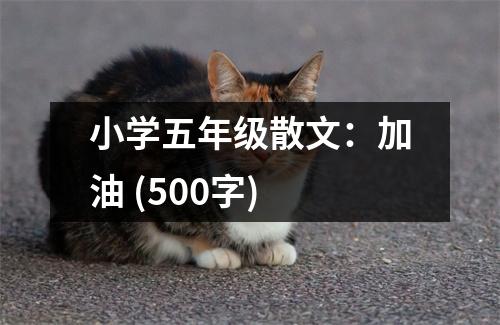 小學五年級散文：加油 (500字)