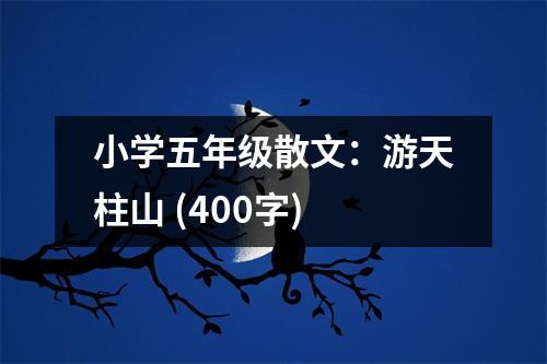 小學(xué)五年級散文：游天柱山 (400字)