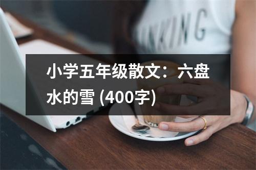 小學(xué)五年級(jí)散文：六盤(pán)水的雪 (400字)