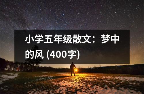 小學(xué)五年級(jí)散文：夢(mèng)中的風(fēng) (400字)