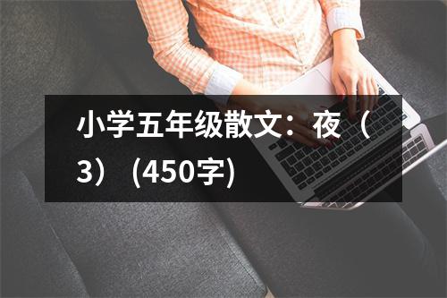 小學(xué)五年級(jí)散文：夜（3） (450字)