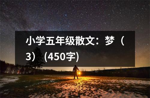 小學(xué)五年級(jí)散文：夢(mèng)（3） (450字)