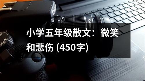 小學五年級散文：微笑和悲傷 (450字)