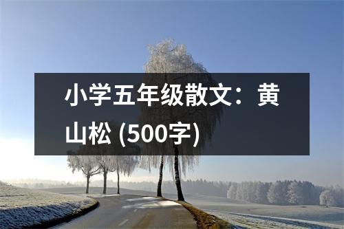 小學(xué)五年級(jí)散文：黃山松 (500字)