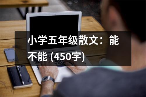 小學五年級散文：能不能 (450字)