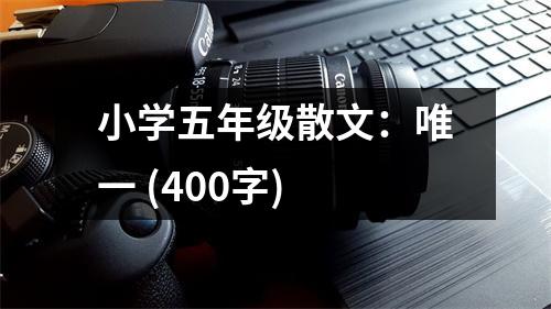 小學(xué)五年級散文：唯一 (400字)