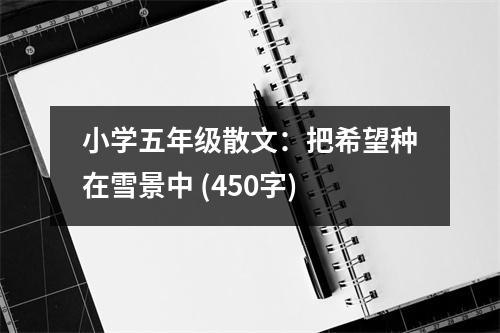 小學(xué)五年級(jí)散文：把希望種在雪景中 (450字)