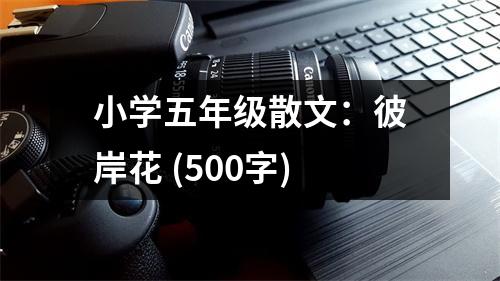 小學(xué)五年級散文：彼岸花 (500字)