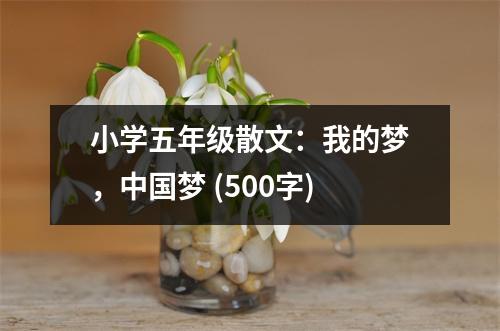 小學(xué)五年級散文：我的夢，中國夢 (500字)