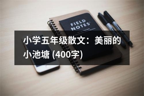 小學(xué)五年級(jí)散文：美麗的小池塘 (400字)
