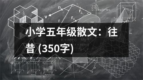 小學(xué)五年級(jí)散文：往昔 (350字)