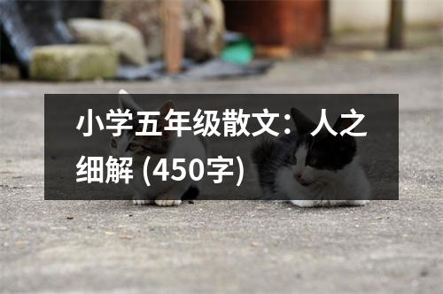 小學五年級散文：人之細解 (450字)