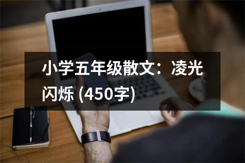 小學(xué)五年級散文：凌光閃爍 (450字)