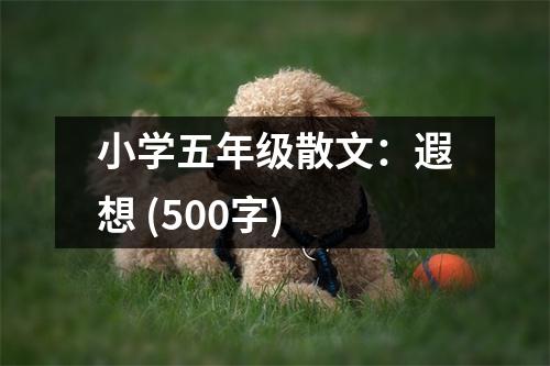 小學(xué)五年級散文：遐想 (500字)