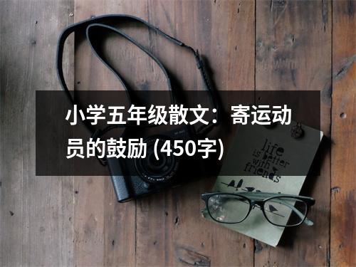 小學五年級散文：寄運動員的鼓勵 (450字)