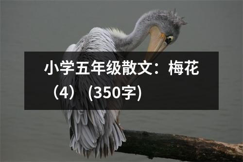 小學五年級散文：梅花（4） (350字)