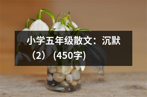 小學五年級散文：沉默（2） (450字)