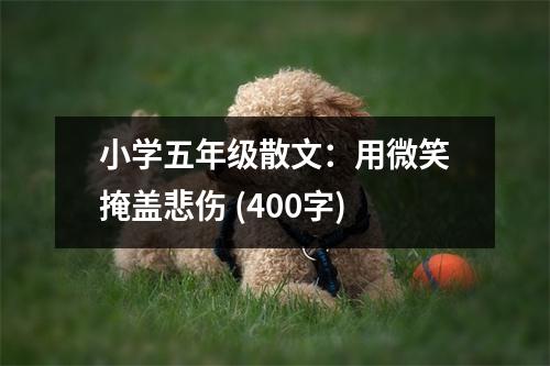 小學(xué)五年級(jí)散文：用微笑掩蓋悲傷 (400字)