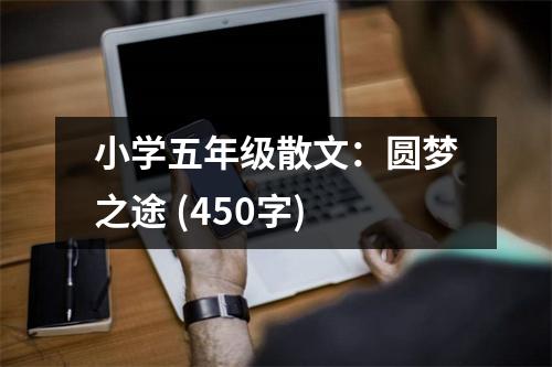 小學(xué)五年級散文：圓夢之途 (450字)