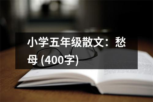 小學(xué)五年級散文：愁母 (400字)