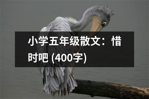小學(xué)五年級(jí)散文：惜時(shí)吧 (400字)