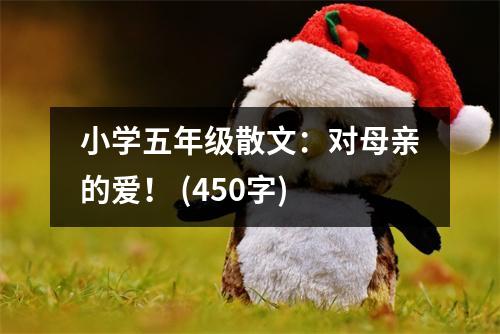 小學(xué)五年級(jí)散文：對(duì)母親的愛(ài)！ (450字)