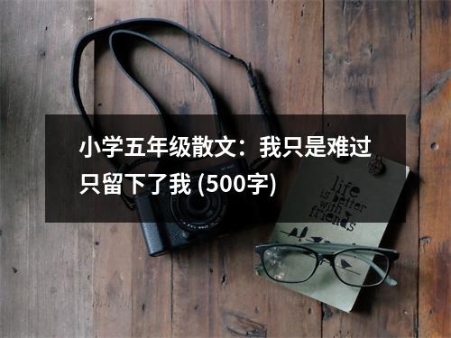 小學(xué)五年級(jí)散文：我只是難過只留下了我 (500字)