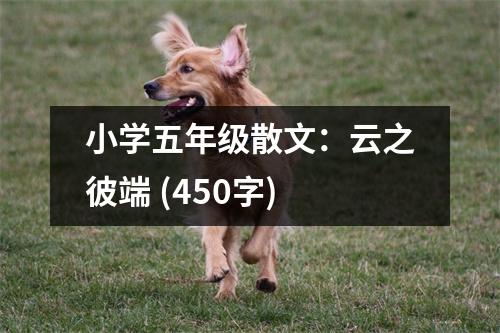 小學(xué)五年級(jí)散文：云之彼端 (450字)