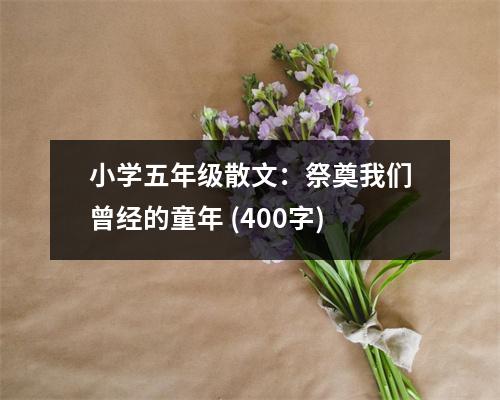 小學(xué)五年級(jí)散文：祭奠我們?cè)?jīng)的童年 (400字)