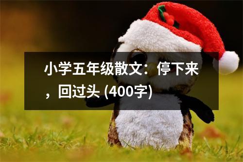 小學(xué)五年級(jí)散文：停下來，回過頭 (400字)