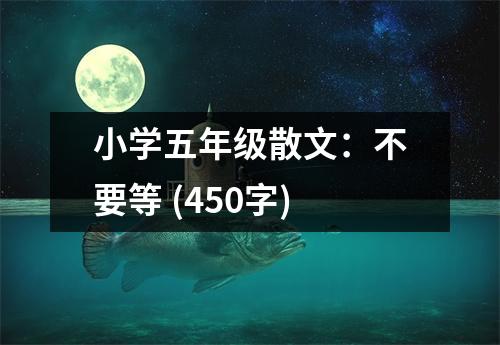小學(xué)五年級散文：不要等 (450字)