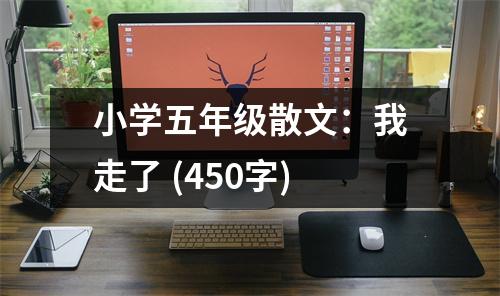 小學(xué)五年級(jí)散文：我走了 (450字)