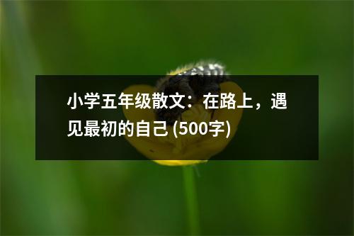 小學五年級散文：在路上，遇見最初的自己 (500字)