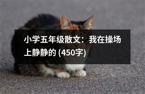 小學(xué)五年級(jí)散文：我在操場(chǎng)上靜靜的 (450字)