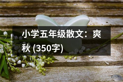 小學(xué)五年級(jí)散文：爽秋 (350字)
